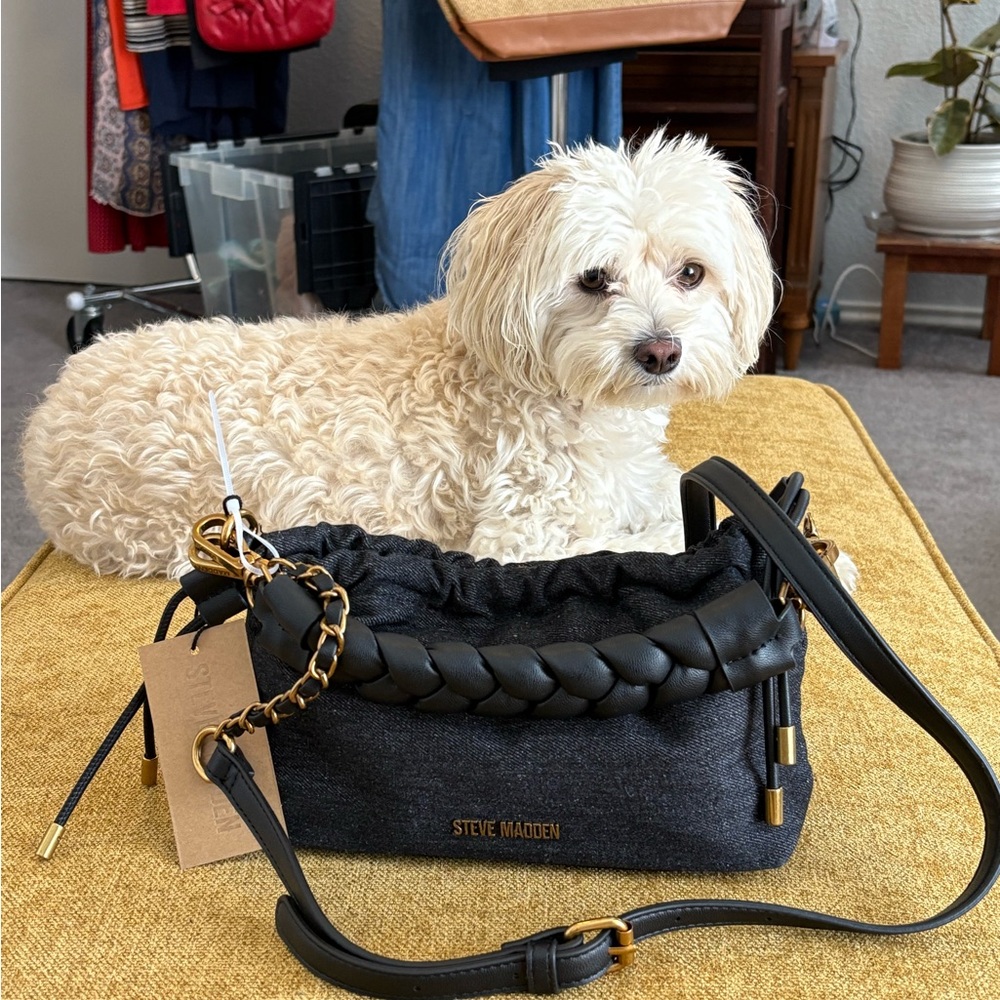 Steve Madden Black and Gold Braided Handbag